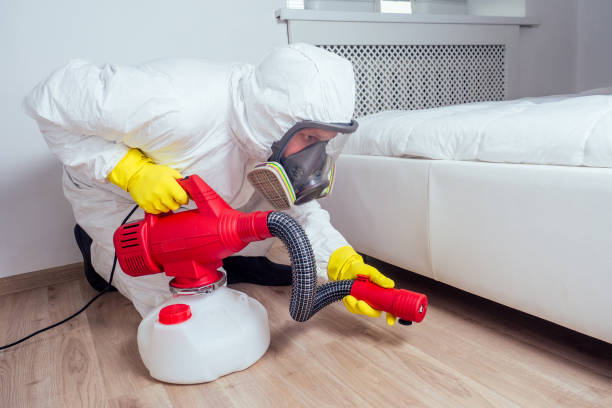 Emergency Pest Control Services in White Marsh, MD